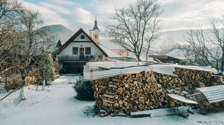 Скільки коштує один куб дров у січні 2026 року — офіційні ціни - 285x160