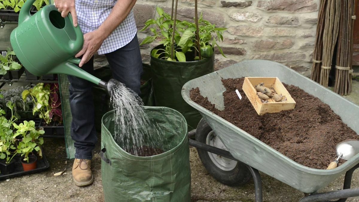 Полив земли в мешках