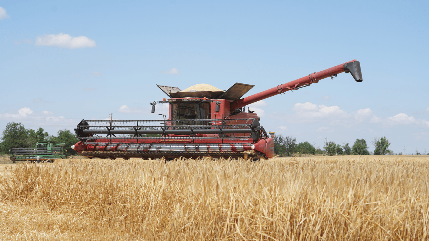 Цены на зерновые в Украине по состоянию на 1 июля 2024 года — сколько стоит тонна ячменя