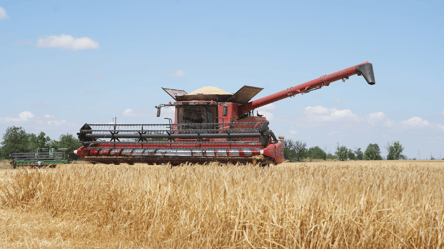 Цены на ячмень в Украине — сколько стоит тонна зерна в июле - 285x160