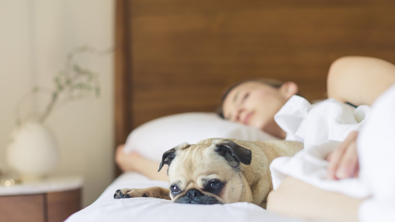 4 способа, которыми ваше тело сигнализирует о том, что вам нужно больше спать