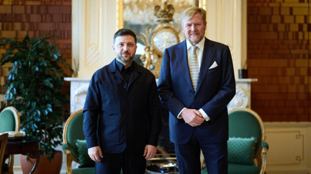 Зеленский встретился с королем Нидерландов — видео - 290x160