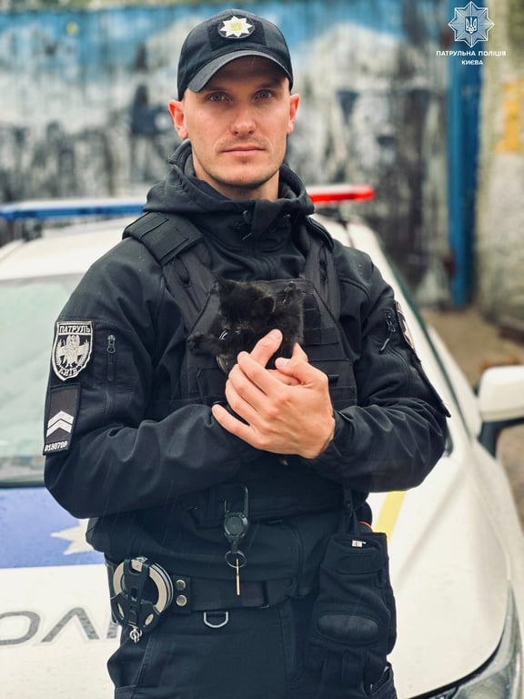 У Києві поліцейські врятували котика