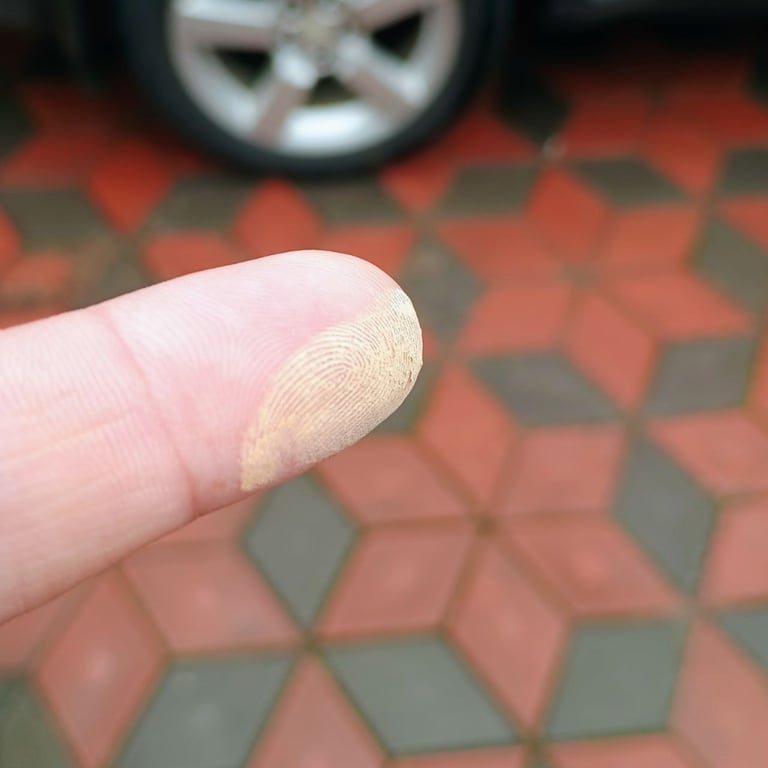 пилова буря україна