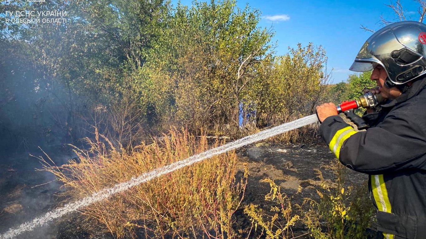 В Одесской области ГСЧС задержала мужчин, которые занимались поджогом травы