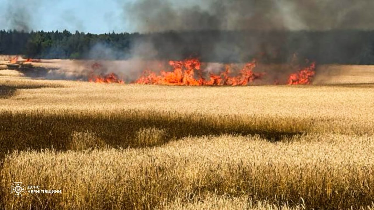 РФ атакувала Чернігівщину: спалахнуло пшеничне поле - фото 1