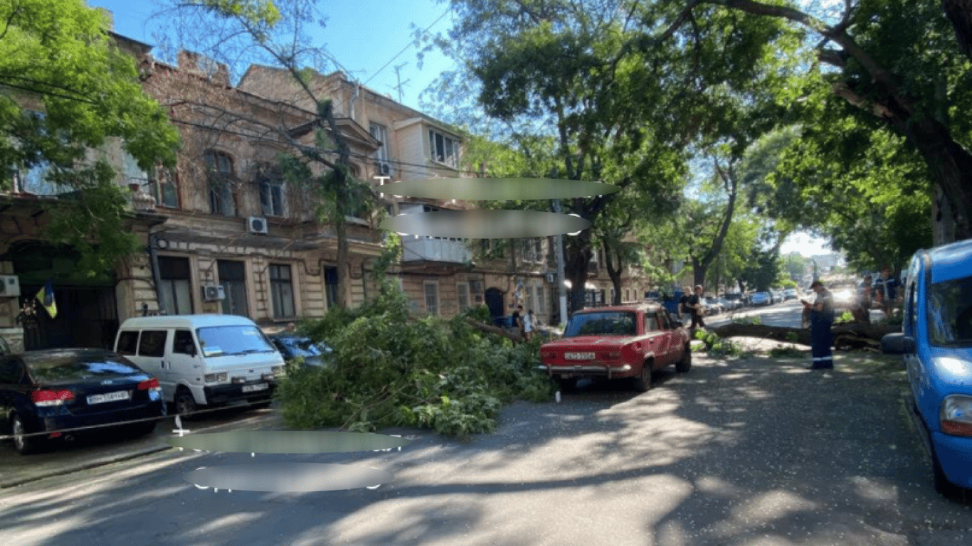 Базарна вулиця в Одесі перекрита через дерево