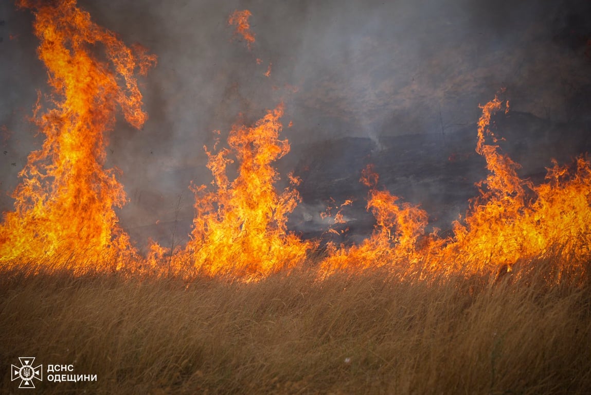 Одещина у вогні — пожежі знищили сотні гектарів землі - фото 3