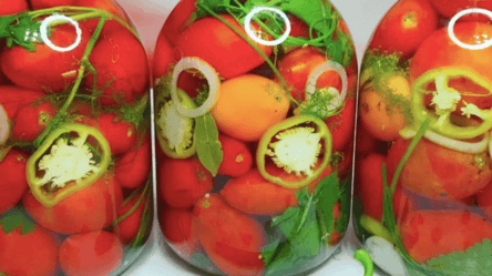 Помідори "Бродячі" для зберігання у квартирі — рецепт без оцту - 285x160