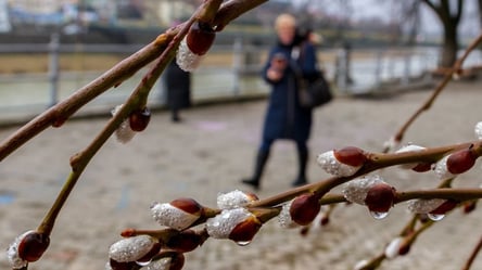 В Україну повертається весна: синоптики порадували прогнозом на вихідні - 285x160