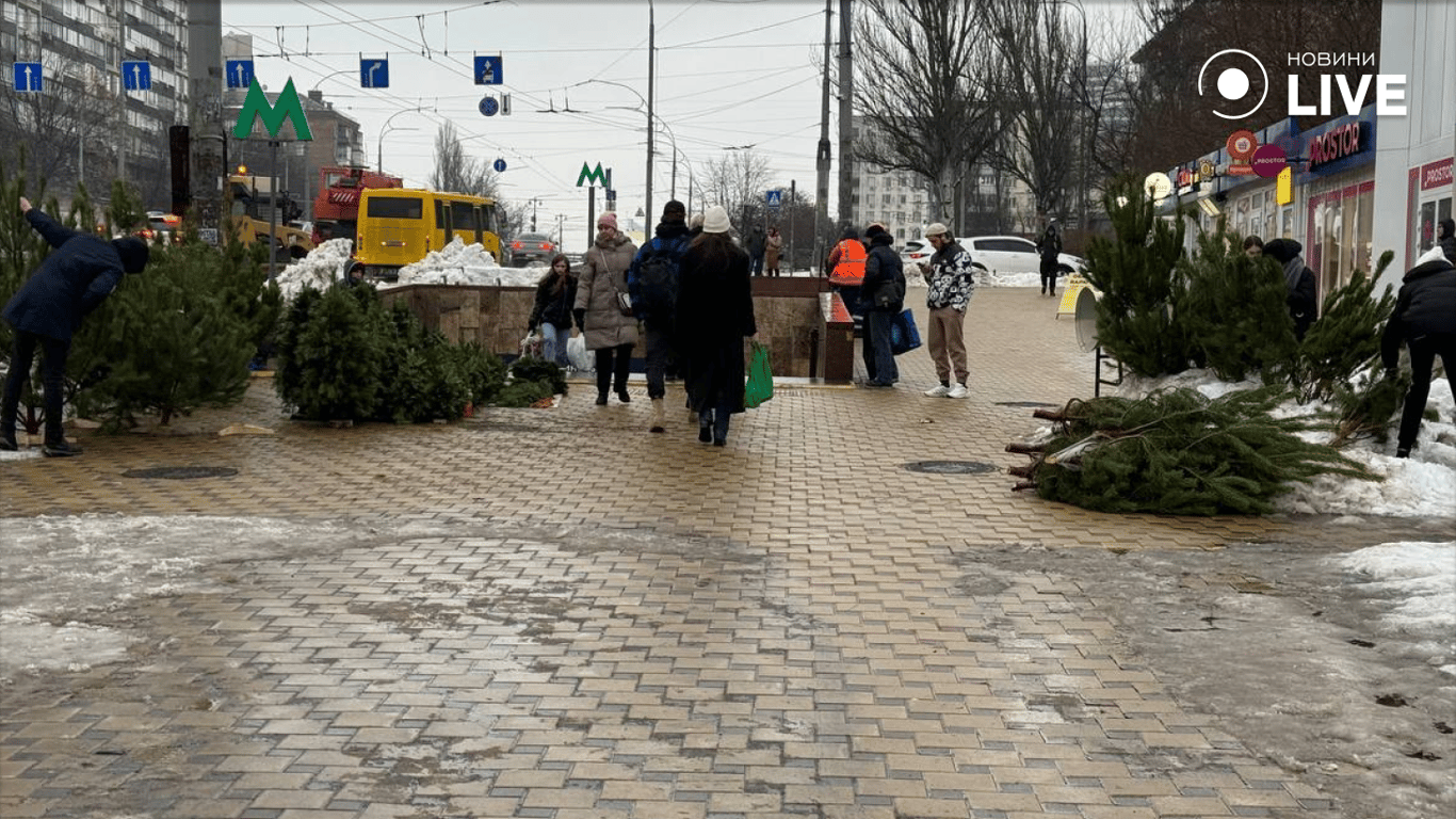 Сколько придется заплатить киевлянам за новогодние деревья