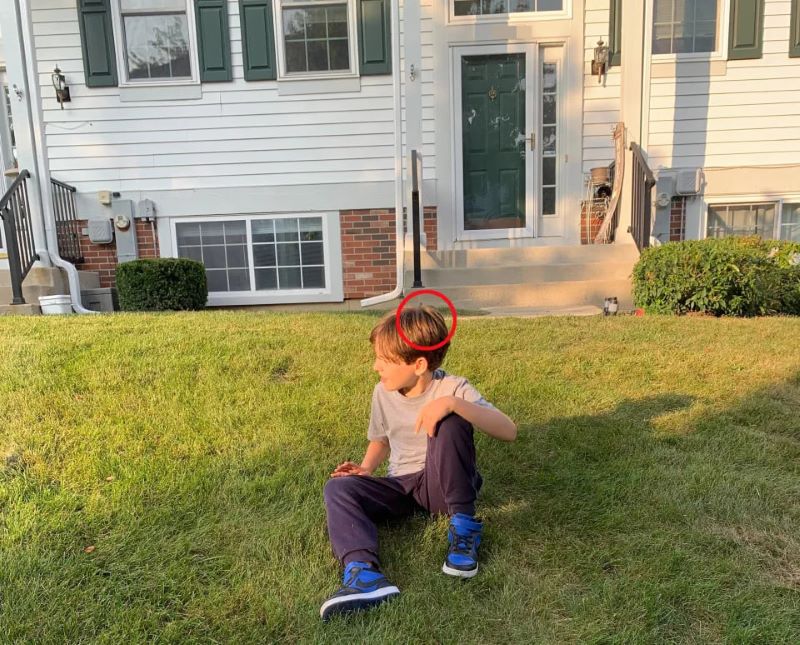 Головоломку розгадують лише 1% — знайдіть маленького кролика на великій галявині - фото 2