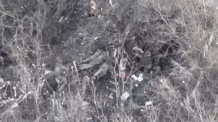Оккупанты расстреляли украинских военных под Бахмутом, которые сдавались в плен - 290x160
