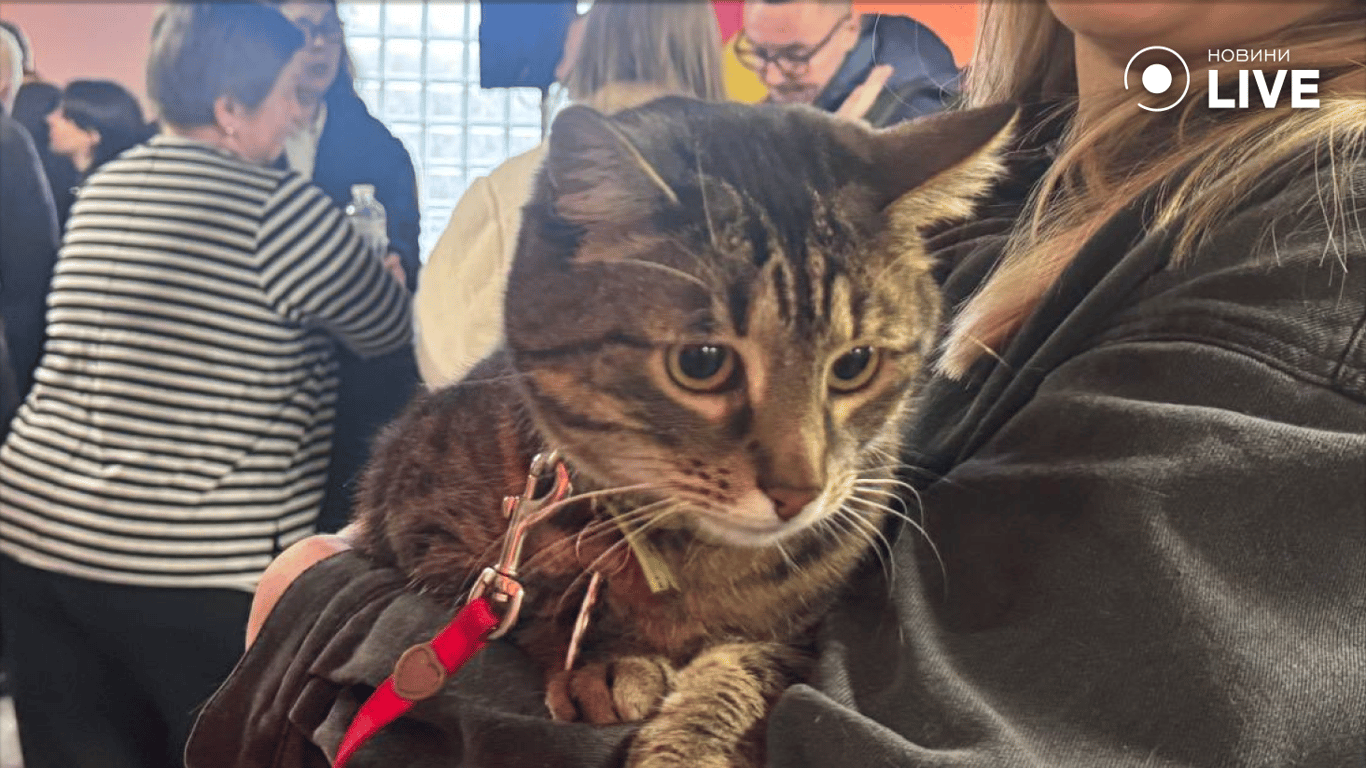 На звіт мера Львова Андрія Садового принесли кота Левчика