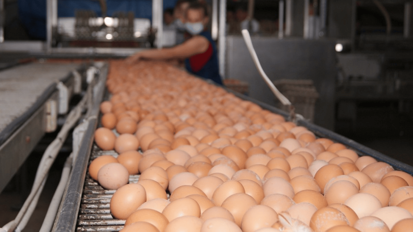 Удорожание продуктов в Украине — какими будут цены на яйца, масло и хлеб