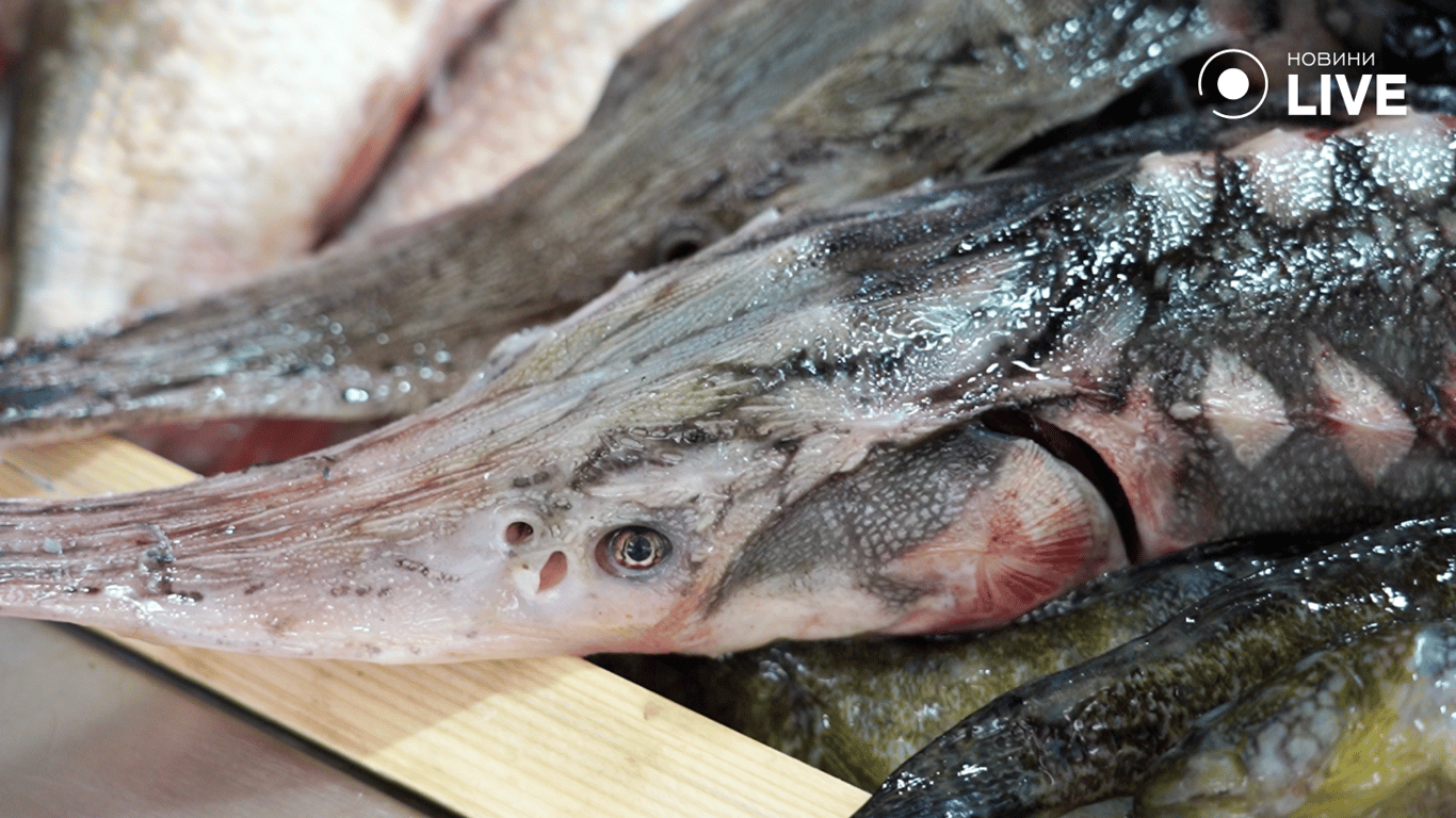 Риба на базарі