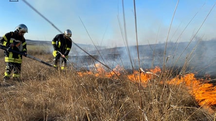 Пожежа на Одещині: вогонь охопив 3 га території - 285x160