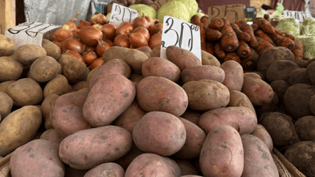 Картопля на одеському Привозі здорожчала на 5 грн: ціни сьогодні - 285x160