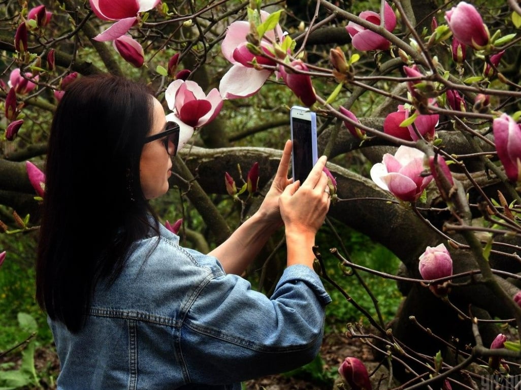 Топ-3 локації в Києві, де варто побувати цієї весни - фото 2