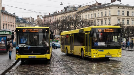 Львів'янка виграла суд у мерії щодо ліміту безкоштовних поїздок - 285x160