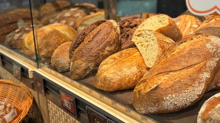 Ціни на хліб прицільно рухаються — що відбувається на споживчому ринку - 285x160