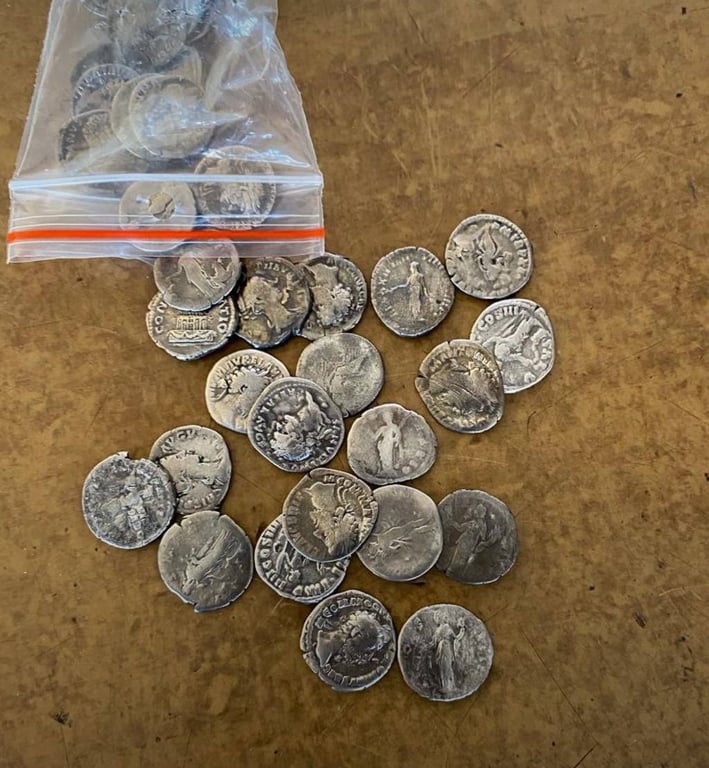 Вилучені монети. Фото: ДПСУ