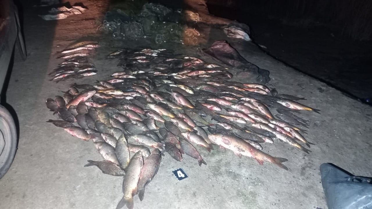 Наловив риби на чотири мільйони — на Одещині затримали браконьєра - фото 3