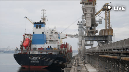 У порту на Одещині збільшилася кількість суден під завантаження: деталі - 285x160