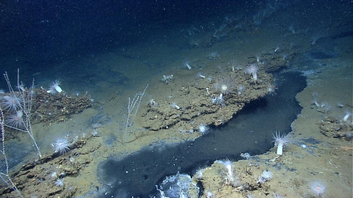 Загроза для купання — вчені знайшли сірку на дні Чорного моря