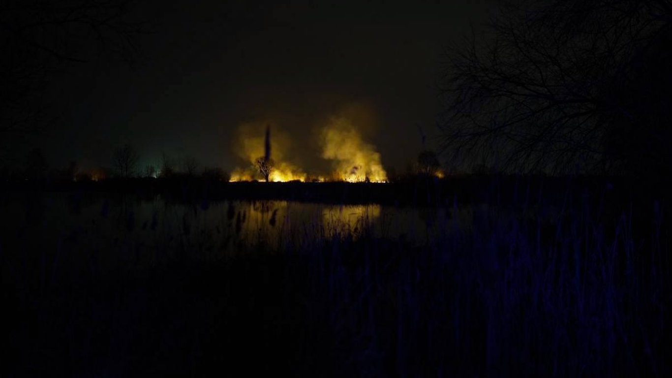 Не первое уничтожение экологической территории — депутат прокомментировала пожар в экопарке Киеве
