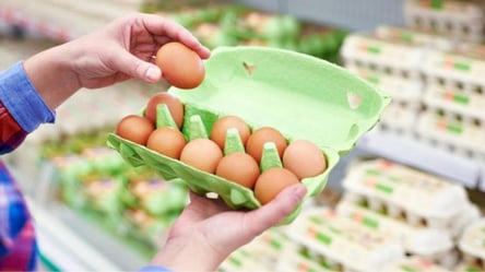 В Україні прогнозують подорожчання яєць: як і коли зміняться ціни - 285x160