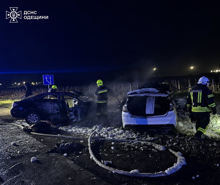 Вщент згорівші автівки під Одесою
