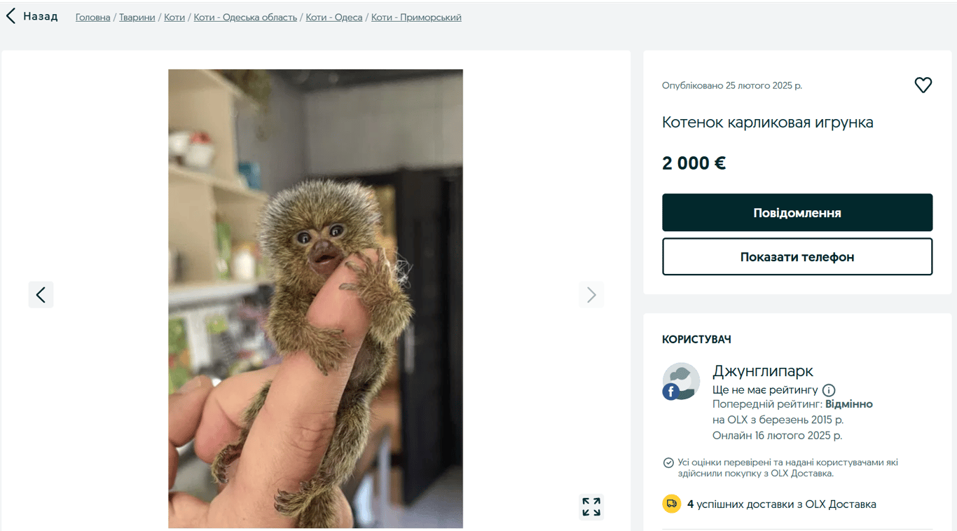 В Одесі продають екзотичну тваринку — яку ціну призначили - фото 1