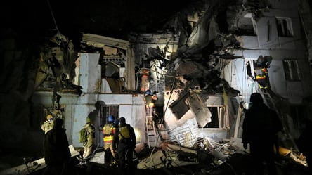"Мій дім — теплиця": що відбувається навколо постраждалого у Запоріжжі будинку - 285x160