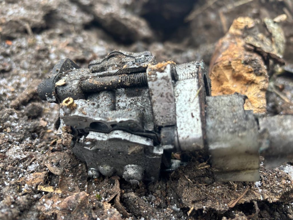 обстріл екопарку на Харківщині 3 березня