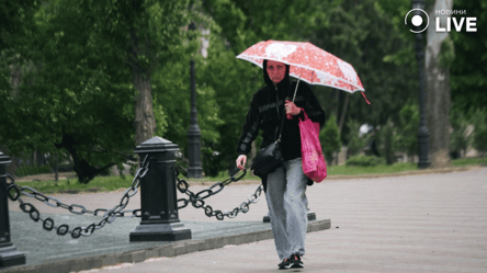 На смену жаре пришли дожди — полный прогноз погоды в Украине на следующую неделю - 285x160