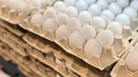 Цены на яйца не удержать — что происходит в супермаркетах - 285x160