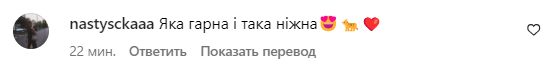 Коментар зі сторінки Анни Трінчер