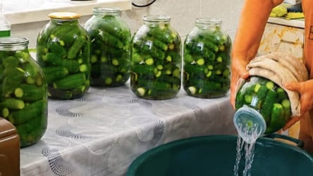 Маринованные огурцы на зиму "Выбор года": новый рецепт-хит 2026 года - 285x160