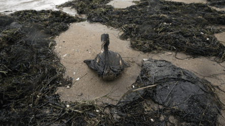 Black Sea oil spill — will Russia be punished for disaster? - 285x160