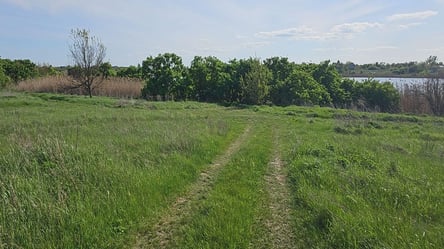 Оренда землі — на що слід звернути увагу в договорі - 285x160