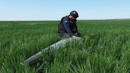 Сапери ДСНС показали страшну знахідку на сході України - 285x160