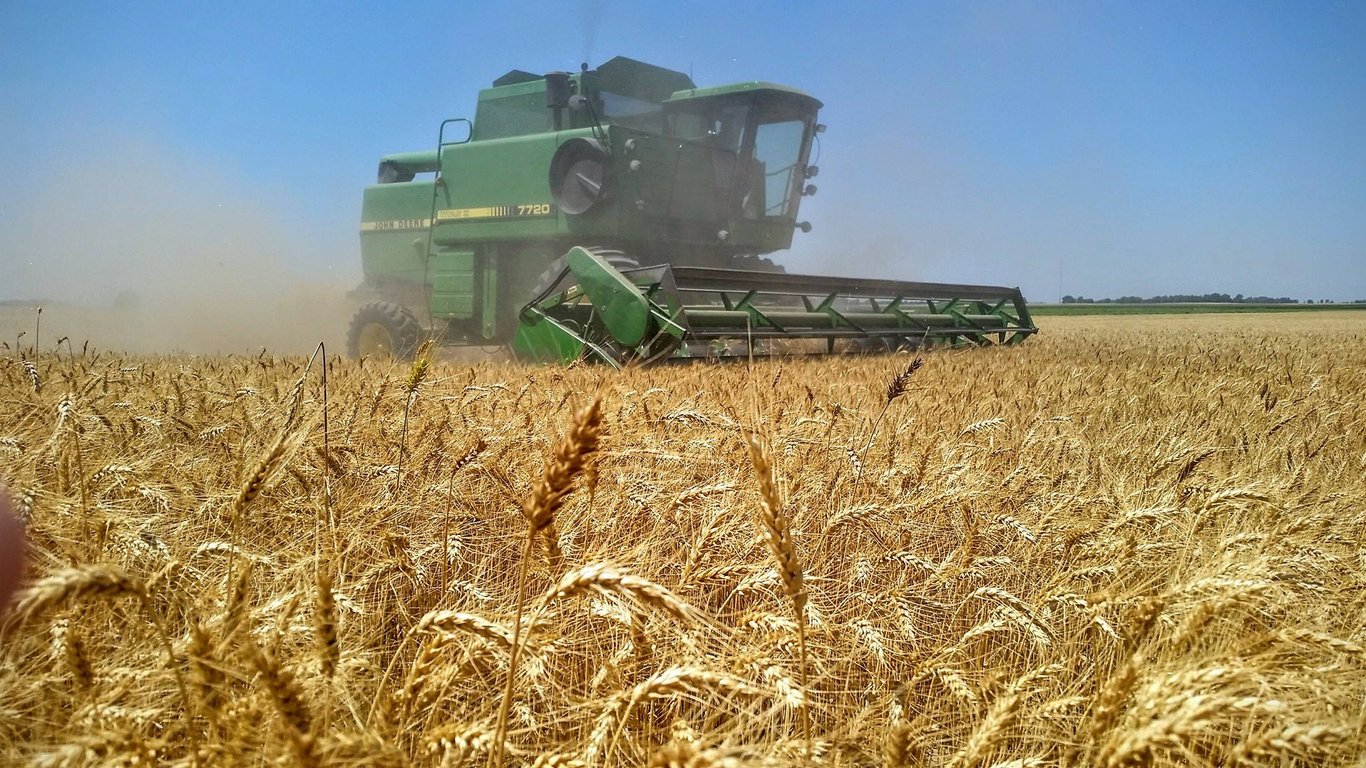 Цены на зерновые в Украине по состоянию на 15 ноября 2023 года