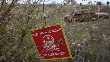 В Херсонской области пятеро жителей погибли из-за подрыва на мине - 285x160