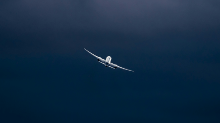 Літаки без парникових газів — яке пальне створили вчені - 285x160