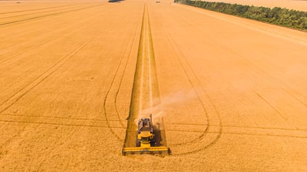В Україні зростає ціна на ячмінь — скільки коштують зернові у травні - 285x160