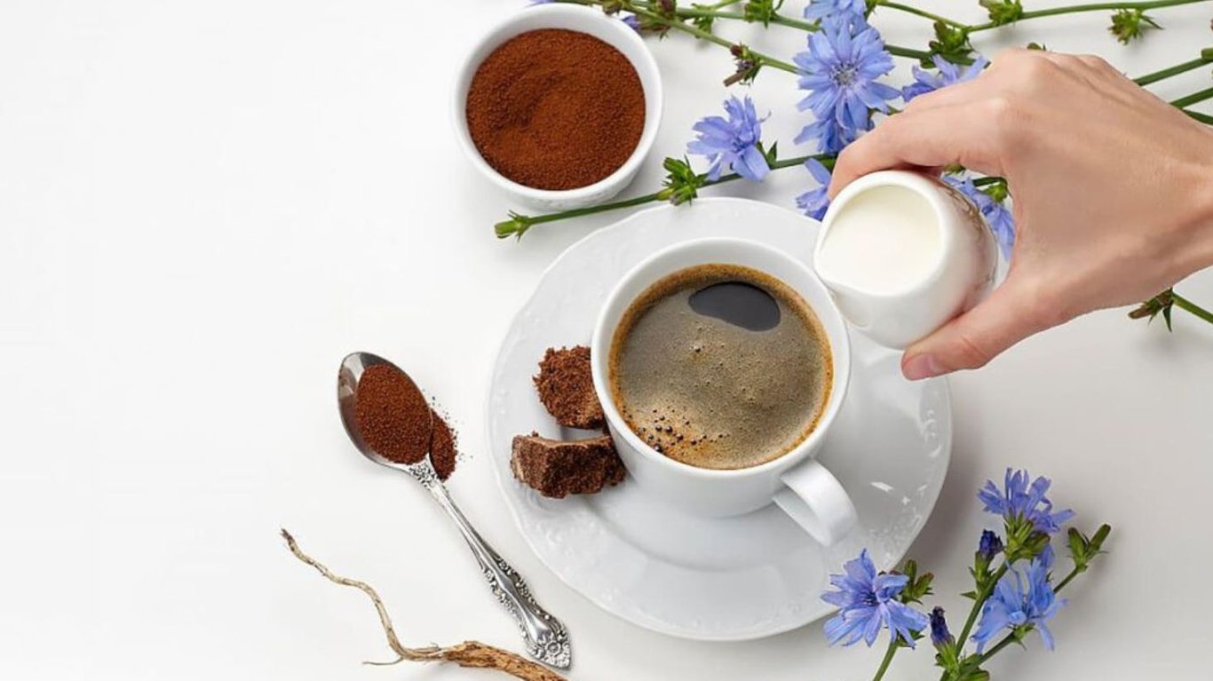 що таке цикорий та як його пити 