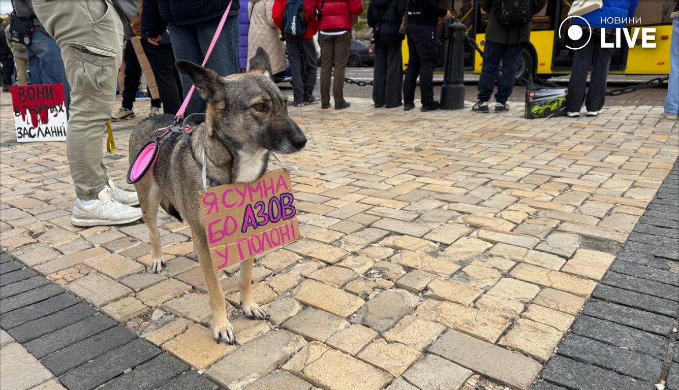 Акція на підтримку полонених у Києві