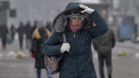 Зима затримається — народний синоптик Діденко назвала регіони, які замете завтра снігом - 285x160