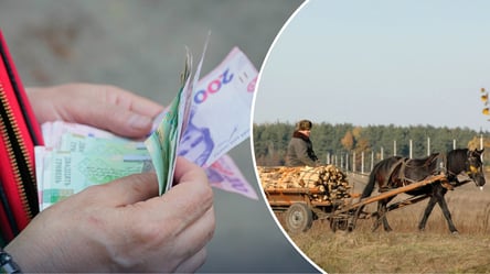 Стоимость дров в Украине: цена в апреле и к чему готовиться потребителям - 290x160